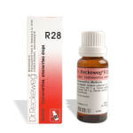 Dr. Reckeweg R28 Dysmenorrhea And Amenorrhea Drop..